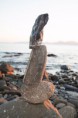 /album/galleria-foto-galleria/img-0028-jpg/